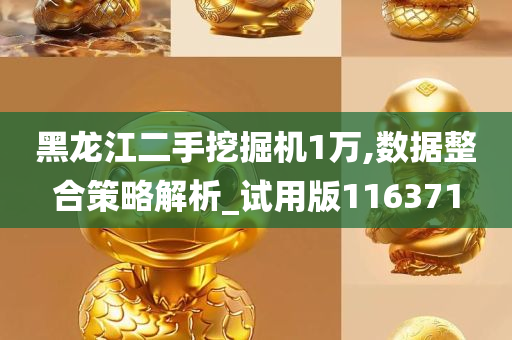 黑龙江二手挖掘机1万,数据整合策略解析_试用版116371