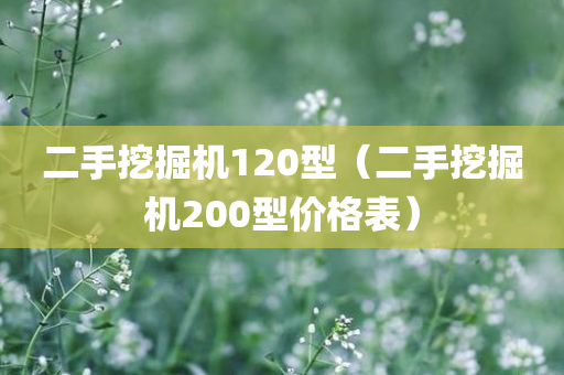 二手挖掘机120型（二手挖掘机200型价格表）