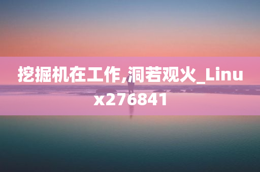 挖掘机在工作,洞若观火_Linux276841