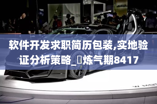 软件开发求职简历包装,实地验证分析策略_‌炼气期8417