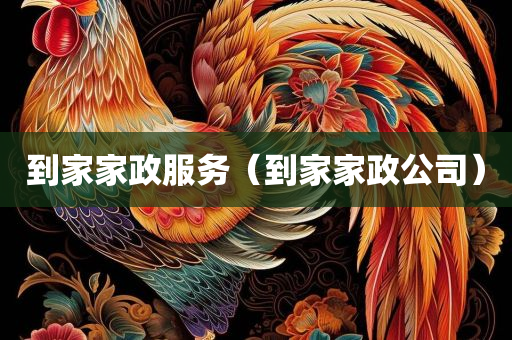 到家家政服务（到家家政公司）