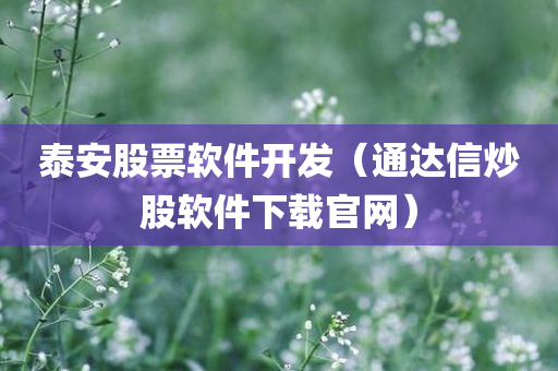 泰安股票软件开发（通达信炒股软件下载官网）