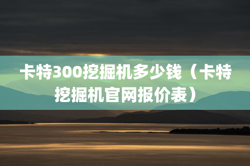 卡特300挖掘机多少钱（卡特挖掘机官网报价表）