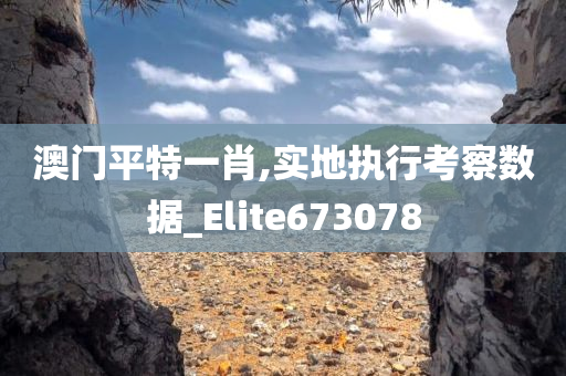 澳门平特一肖,实地执行考察数据_Elite673078