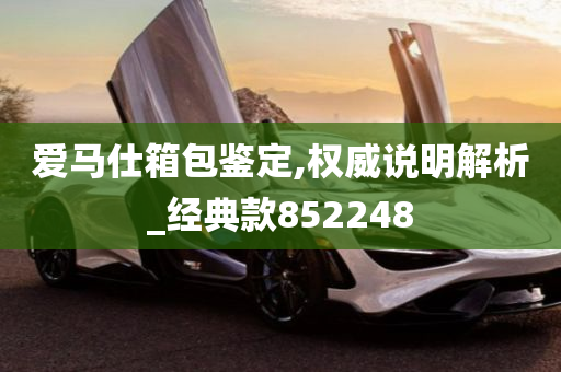 爱马仕箱包鉴定,权威说明解析_经典款852248