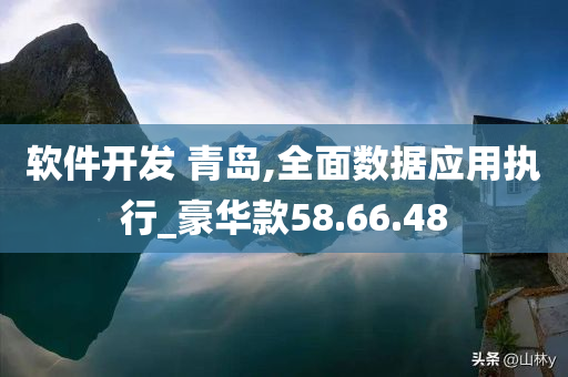 软件开发 青岛,全面数据应用执行_豪华款58.66.48