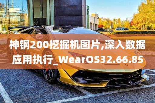 神钢200挖掘机图片,深入数据应用执行_WearOS32.66.85