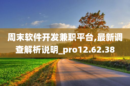 周末软件开发兼职平台,最新调查解析说明_pro12.62.38