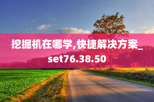 挖掘机在哪学,快捷解决方案_set76.38.50