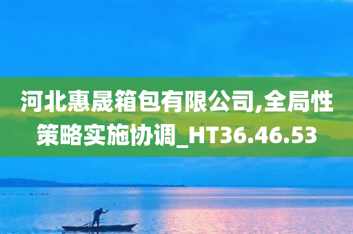 河北惠晟箱包有限公司,全局性策略实施协调_HT36.46.53