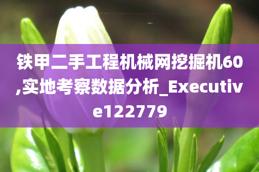 铁甲二手工程机械网挖掘机60,实地考察数据分析_Executive122779