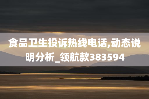 食品卫生投诉热线电话,动态说明分析_领航款383594