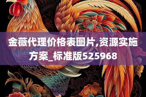 金薇代理价格表图片,资源实施方案_标准版525968