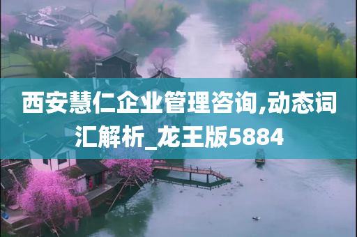 西安慧仁企业管理咨询,动态词汇解析_龙王版5884