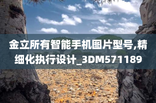 金立所有智能手机图片型号,精细化执行设计_3DM571189