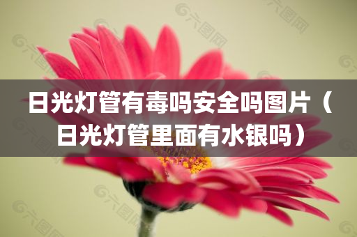 日光灯管有毒吗安全吗图片（日光灯管里面有水银吗）