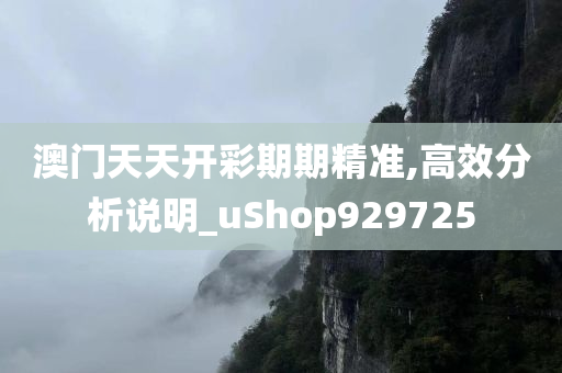 澳门天天开彩期期精准,高效分析说明_uShop929725