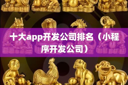 十大app开发公司排名（小程序开发公司）