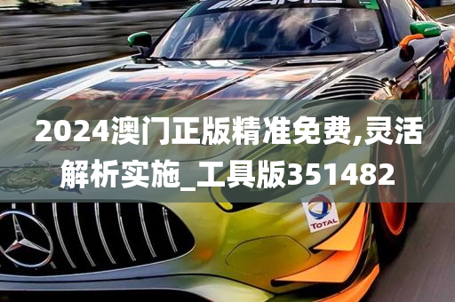 2024澳门正版精准免费,灵活解析实施_工具版351482