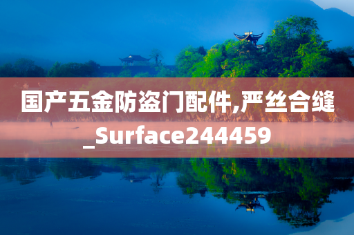 国产五金防盗门配件,严丝合缝_Surface244459