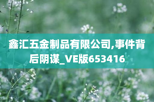 鑫汇五金制品有限公司,事件背后阴谋_VE版653416