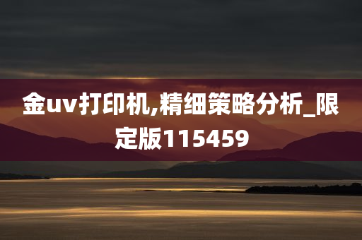 金uv打印机,精细策略分析_限定版115459