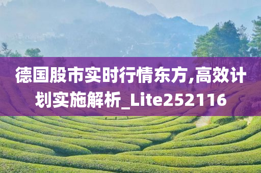 德国股市实时行情东方,高效计划实施解析_Lite252116