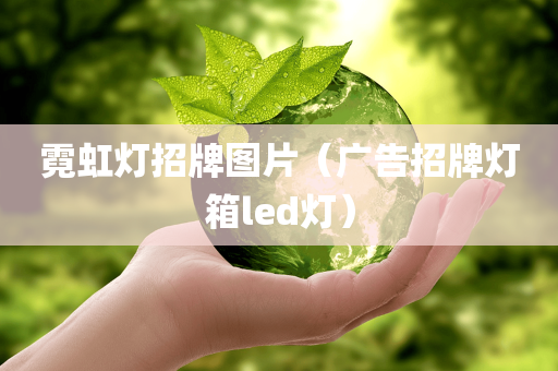 霓虹灯招牌图片（广告招牌灯箱led灯）