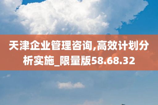 天津企业管理咨询,高效计划分析实施_限量版58.68.32