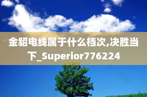 金貂电线属于什么档次,决胜当下_Superior776224