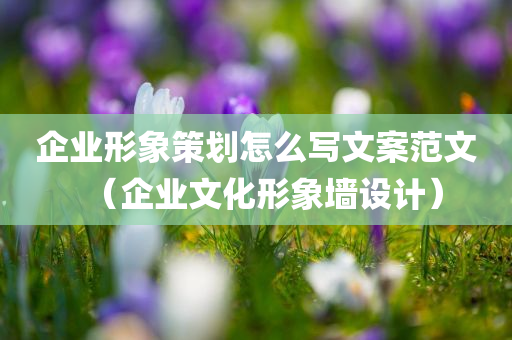 企业形象策划怎么写文案范文（企业文化形象墙设计）