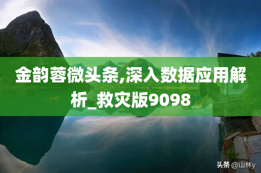 金韵蓉微头条,深入数据应用解析_救灾版9098