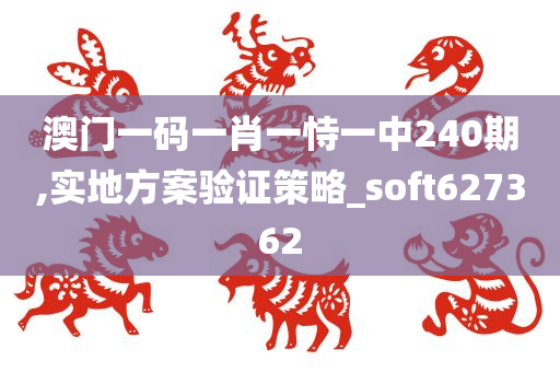 澳门一码一肖一恃一中240期,实地方案验证策略_soft627362