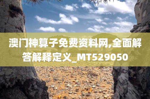 澳门神算子免费资料网,全面解答解释定义_MT529050