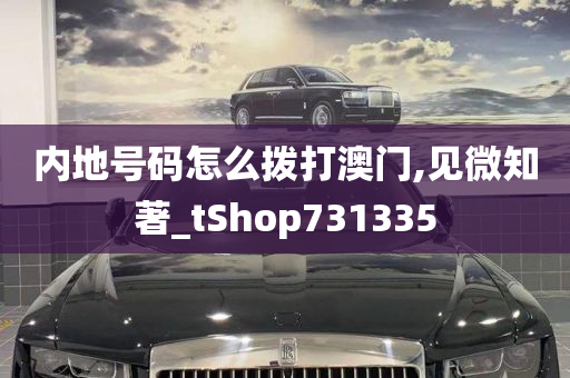 内地号码怎么拨打澳门,见微知著_tShop731335