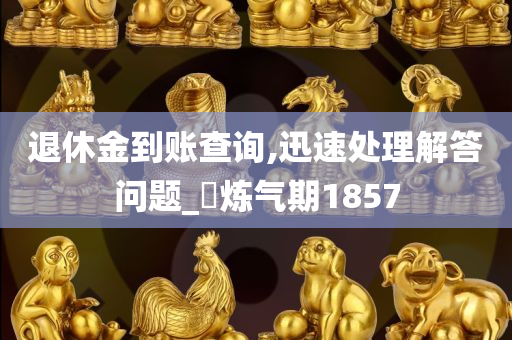 退休金到账查询,迅速处理解答问题_‌炼气期1857