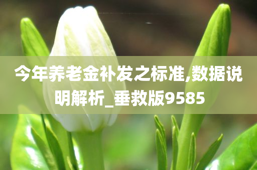 今年养老金补发之标准,数据说明解析_垂救版9585