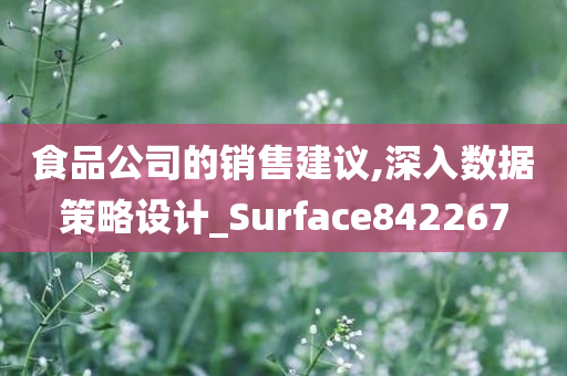 食品公司的销售建议,深入数据策略设计_Surface842267