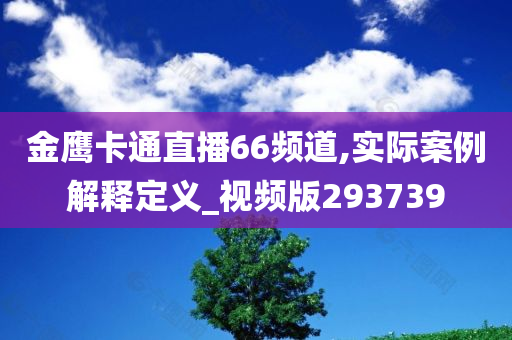 金鹰卡通直播66频道,实际案例解释定义_视频版293739