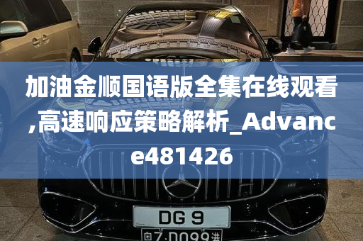 加油金顺国语版全集在线观看,高速响应策略解析_Advance481426