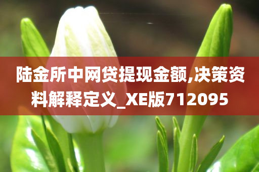 陆金所中网贷提现金额,决策资料解释定义_XE版712095