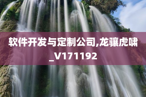 软件开发与定制公司,龙骧虎啸_V171192