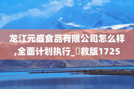 龙江元盛食品有限公司怎么样,全面计划执行_抍救版1725