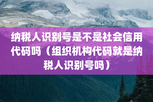 纳税人识别号是不是社会信用代码吗（组织机构代码就是纳税人识别号吗）