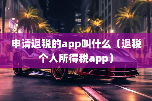 申请退税的app叫什么（退税个人所得税app）