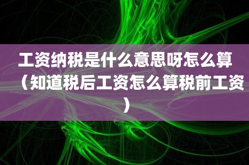 工资纳税是什么意思呀怎么算（知道税后工资怎么算税前工资）