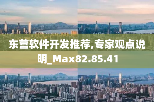 东营软件开发推荐,专家观点说明_Max82.85.41