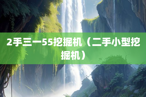 2手三一55挖掘机（二手小型挖掘机）