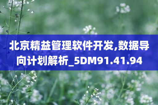 北京精益管理软件开发,数据导向计划解析_5DM91.41.94