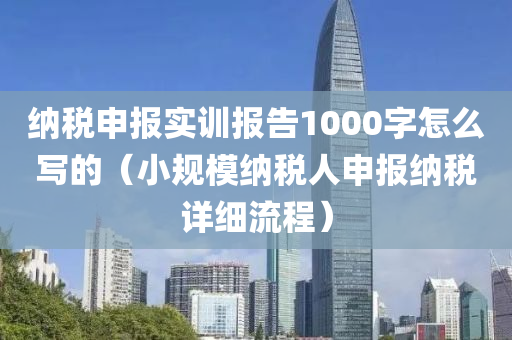 纳税申报实训报告1000字怎么写的（小规模纳税人申报纳税详细流程）